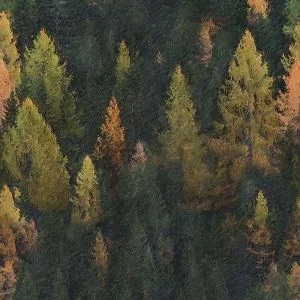 maľba les